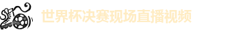 世界杯决赛现场直播视频